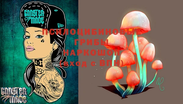 mdpv Ельня