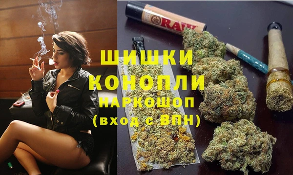 эйфоретик Дмитриев