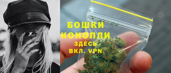 mdpv Ельня