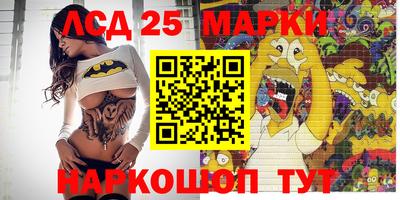 мяу мяу мука Будённовск