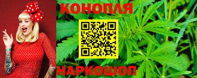 трава Бийск