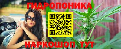 мяу мяу мука Будённовск