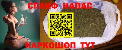трава Бийск