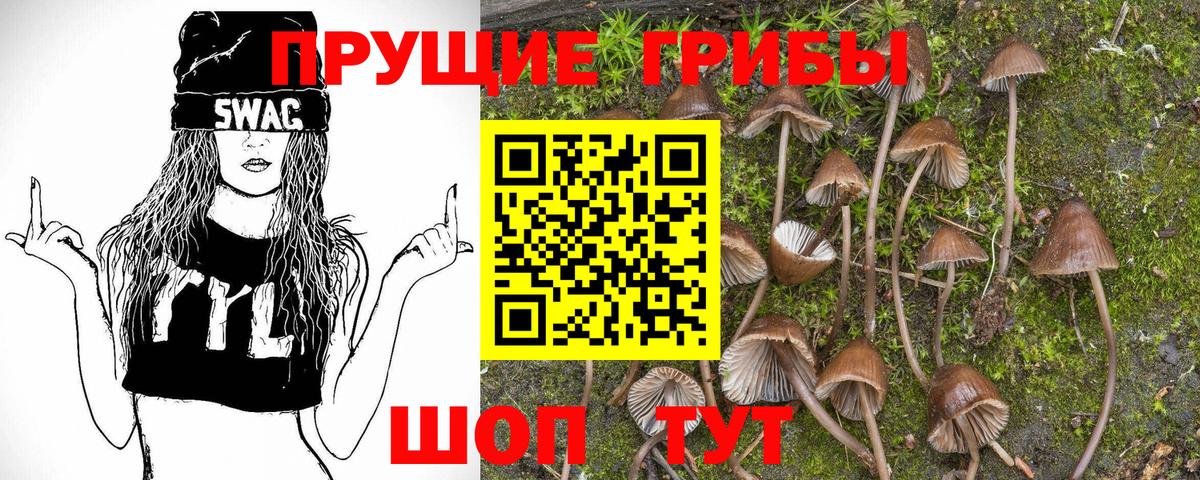 Бугуруслан  что такое   Вход с VPN  Псилоцибиновые грибы мухоморы 